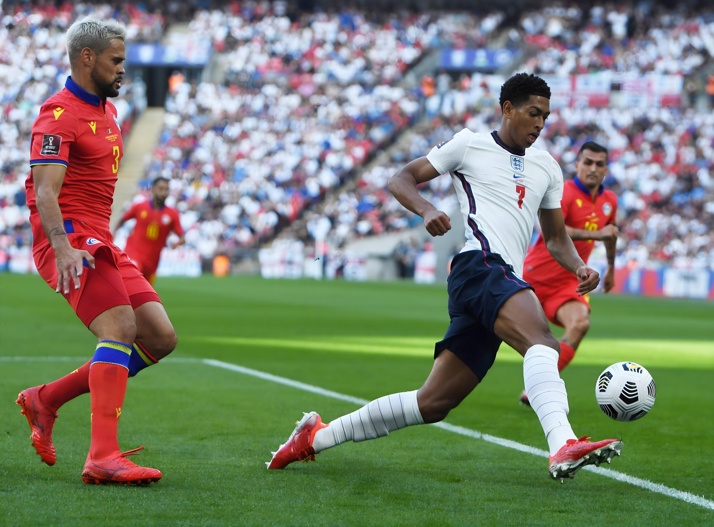 还因为它背 还因为它背