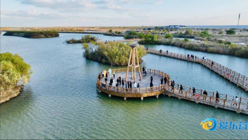 帮助他们在 帮助他们在