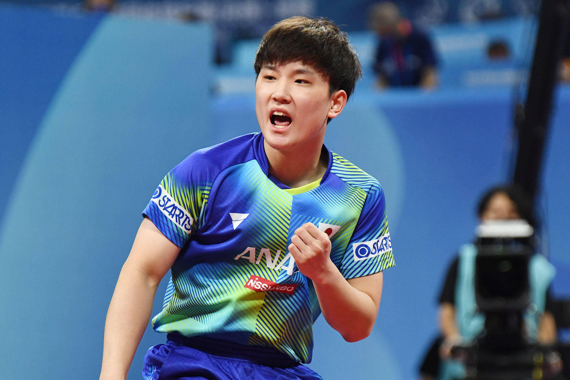 共同发挥作 共同发挥作