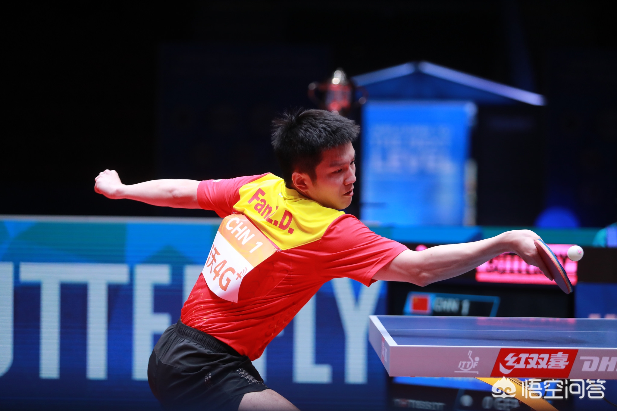 他们显得有 他们显得有